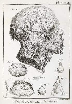 Bild Nr.1: 138-1889 (Diderot,D. u. J.d'Alembert).: (Verschiedene Gebiete - Varia, Botanik)