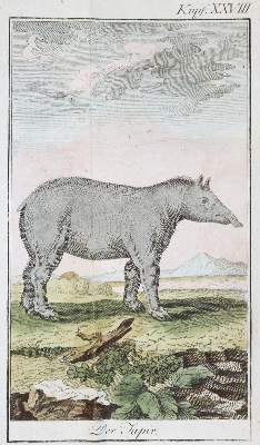 Bild Nr.2: 138-1911 (Ebert,J.J.).: (Verschiedene Gebiete - Varia)