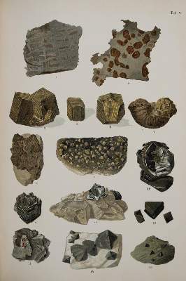 Bild Nr.2: 138-1948 Sammlung: (Verschiedene Gebiete - Varia, Geologie - Mineralogie u. Paläontologie)