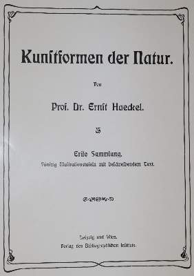 Bild Nr.3: 138-1964 Haeckel,E.: (Verschiedene Gebiete - Varia)