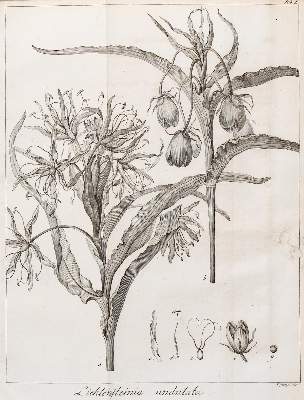 Bild Nr.1: 138-2033 Naturwissenschaften.: (Verschiedene Gebiete - Varia)