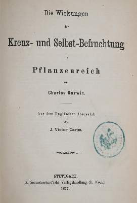 Bild Nr.1: 138-2054 Sammlung: (Verschiedene Gebiete - Varia)