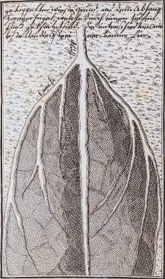 Bild Nr.2: 138-2079 Bertrand,M.J.: (Verschiedene Gebiete - Varia, Wasserbau)