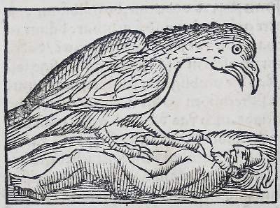 Bild Nr.4: 138-266 (Münster,S.: (Alte Drucke, Handschriften und Theologie)