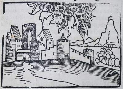 Bild Nr.6: 138-266 (Münster,S.: (Alte Drucke, Handschriften und Theologie)