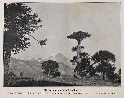 Bild Nr.3: 138-2707 Storch,H. (Hrsg.).: (Verschiedene Länder - Geschichte, Russland)