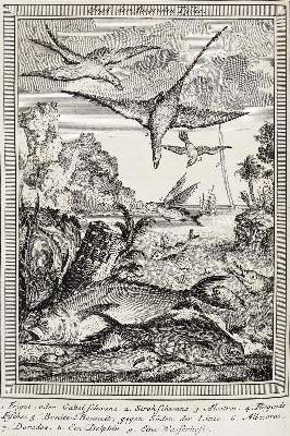 Bild Nr.17: 138-2717 (Schwabe,J.J.).: (Verschiedene Länder - Varia)