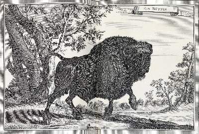 Bild Nr.21: 138-2717 (Schwabe,J.J.).: (Verschiedene Länder - Varia)
