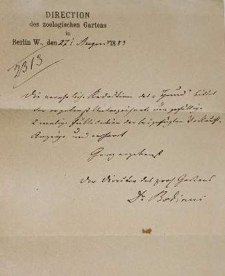 Bild Nr.2: 138-2760 Bodinus, Heinrich,: (Autographen)