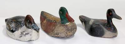 Bild Nr.2: 138-2827 Lockenten.: (Varia)
