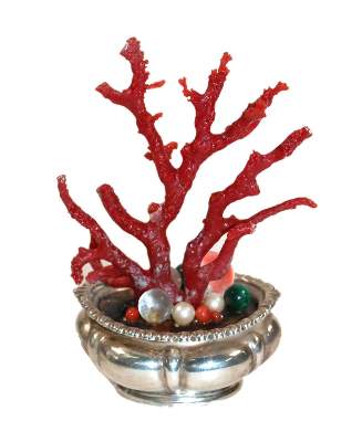 Bild Nr.1: 138-3129 Korallenbaum in: (Silber)