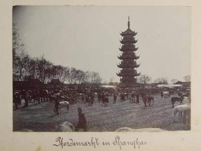 Bild Nr.8: 138-3253 Photoalbum: (China, SMS Luchs)