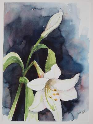 Bild Nr.1: 138-3291 Aquarelle.: (Varia)