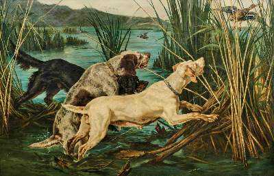 Bild Nr.1: 138-3359 Da Vida.: (Varia, Jagd)