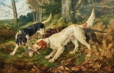 Bild Nr.2: 138-3359 Da Vida.: (Varia, Jagd)