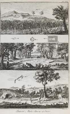Bild Nr.1: 138-3361 Konvolut: (Varia, Jagd)