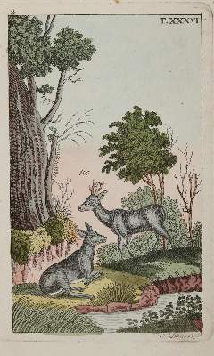 Bild Nr.3: 138-3361 Konvolut: (Varia, Jagd)