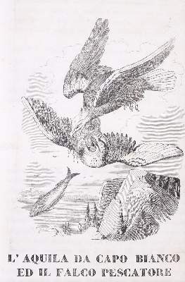 Bild Nr.1: 138-3362 Konvolut: (Varia, Jagd)