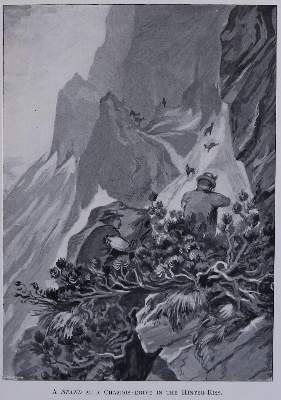 Bild Nr.3: 138-3362 Konvolut: (Varia, Jagd)