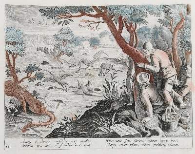 Bild Nr.25: 138-3363 Stradanus,J.: (Varia, Jagd)