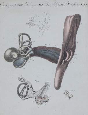 Bild Nr.1: 138-3374 Konvolut: (Varia, Konvolut)
