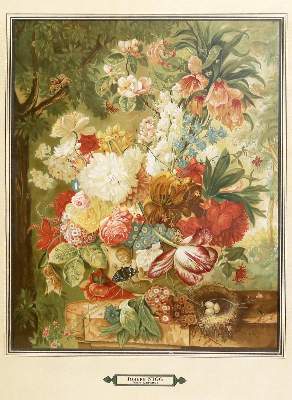 Bild Nr.4: 138-3785 Blumen.: (Künstlergraphik)