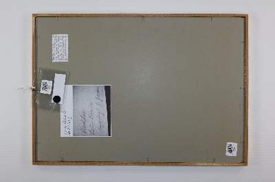 Bild Nr.2: 138-3799 Braun, Louis: (Künstlergraphik)