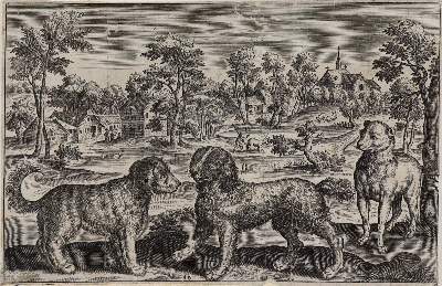Bild Nr.1: 138-3836 Collaert, Adriaen: (Künstlergraphik)