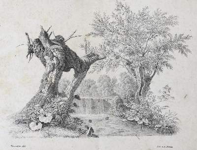 Bild Nr.1: 138-3918 Follenweider, Johann Rudolf: (Künstlergraphik)