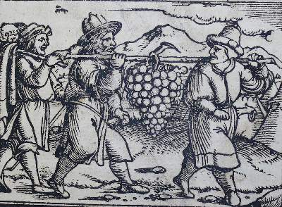 Bild Nr.3: 138-44 Biblia germanica.: (Bibeln)