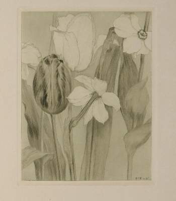 Bild Nr.4: 138-4412 Weiss, Emil Rudolf: (Künstlergraphik)