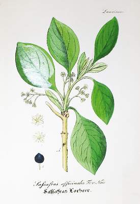 Bild Nr.1: 138-558 Konvolut: (Varia)