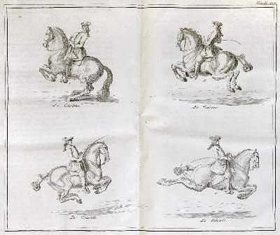 Bild Nr.1: 138-632 Saunier,G.de.: (Militaria)