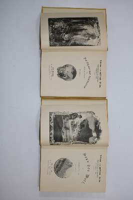 Bild Nr.33: 138-690 Rückgänge: (Varia)