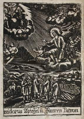 Bild Nr.1: 138-697 Rückgänge: (Varia)