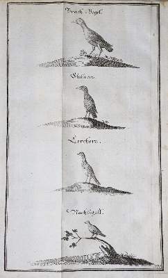 Bild Nr.3: 138-764 Fleming,H.F.v.: (Jagd)