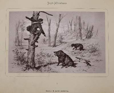 Bild Nr.1: 138-772 Legwarth,F.: (Jagd)
