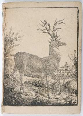 Bild Nr.1: 138-773 Rainer (von Lindenbüchel) Joh(ann).: (Jagd)