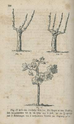 Bild Nr.2: 138-807 Kohler,J.M.: (Küche und Haushalt, Getränke, Wein)
