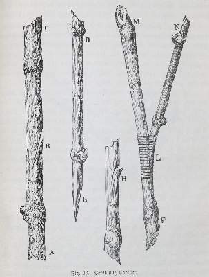 Bild Nr.1: 138-808 Sahut,F.: (Küche und Haushalt, Getränke, Wein und Weinbau)