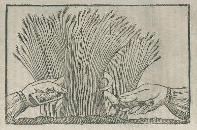Bild Nr.2: 138-872 Berger,C.F.: (Land- und Forstwirtschaft, Landwirtschaft)