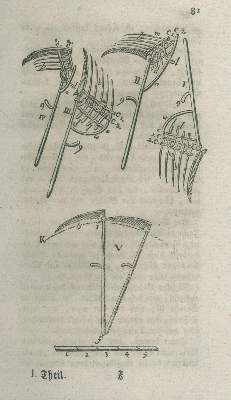 Bild Nr.3: 138-872 Berger,C.F.: (Land- und Forstwirtschaft, Landwirtschaft)