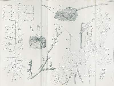 Bild Nr.2: 138-878 Hlubek,F.X.: (Land- und Forstwirtschaft, Landwirtschaft)