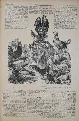 Bild Nr.3: 138-889 Sammlung: (Land- und Forstwirtschaft, Landwirtschaft)
