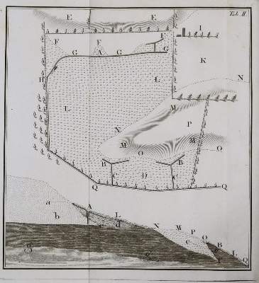 Bild Nr.2: 138-891 Johnstone,J.: (Land- und Forstwirtschaft, Landwirtschaft, Sumpf)