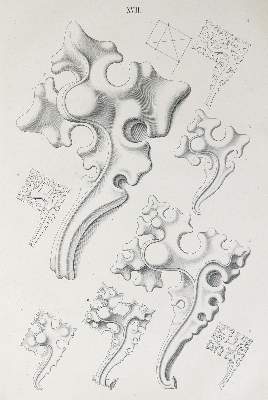 Bild Nr.1: 138-975 Hoffstadt,F.: (Gotik)