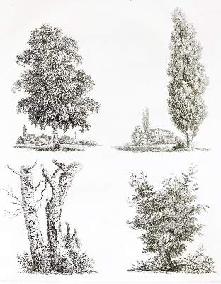Bild Nr.2: 138-992 Wagner,J.J.: (Landschaft)