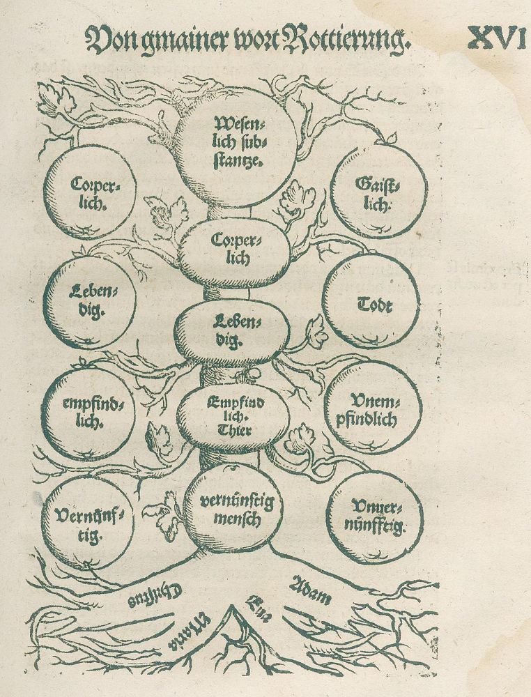 Große Abbildung Nr.2: 139-101 Fuchsperger,O.: (Alte Drucke, Handschriften und Theologie)