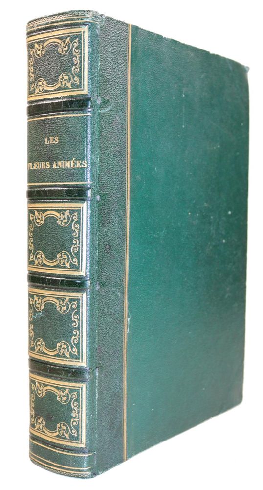 Große Abbildung Nr.2: 139-1024 Delord,T.: (Literatur und illustrierte Bücher bis 19.Jahrhundert)