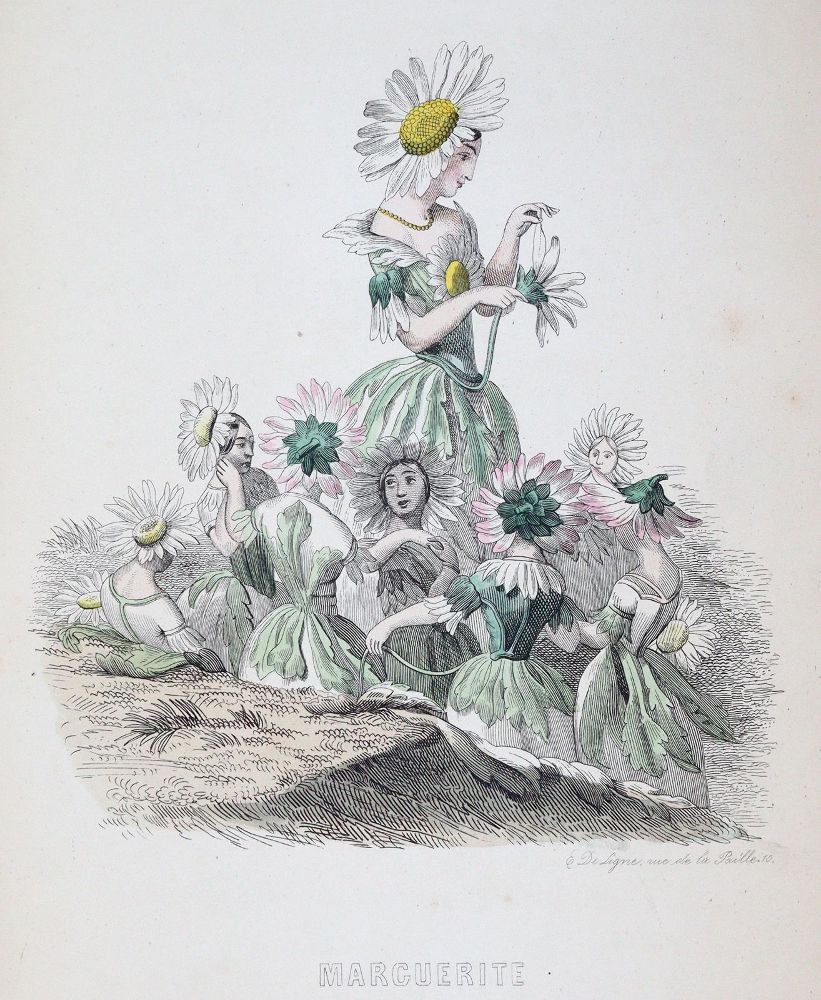 Große Abbildung Nr.2: 139-1067 Grandville,J.J. (d.i. J.I.I.Gerard).: (Literatur und illustrierte Bücher bis 19.Jahrhundert)